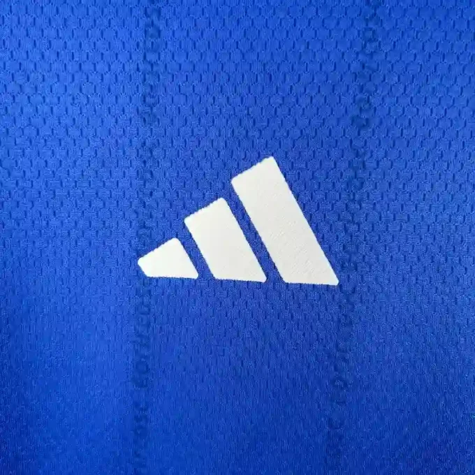 23-24 Palmeiras Special Edition Soccer Jersey - Image 2
